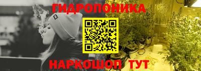 ПСИЛОЦИБИНОВЫЕ ГРИБЫ Бийск